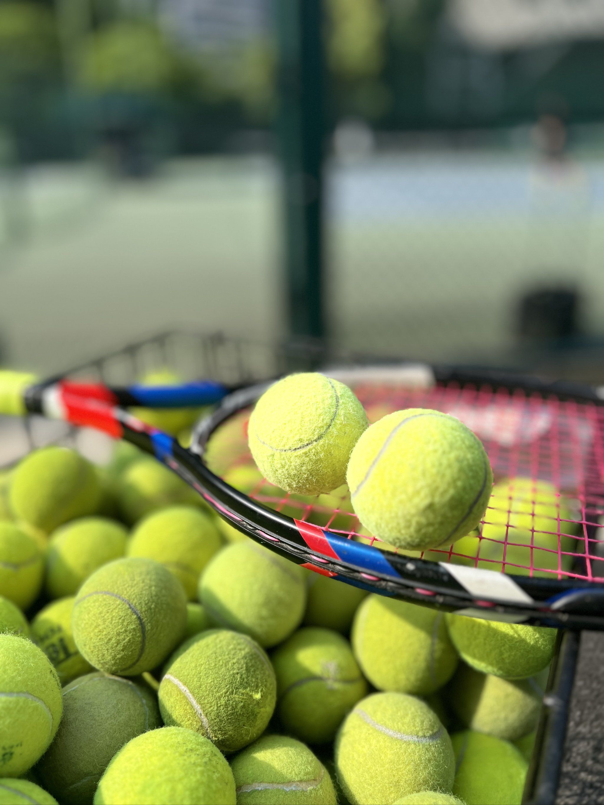 这信任是任 这信任是任